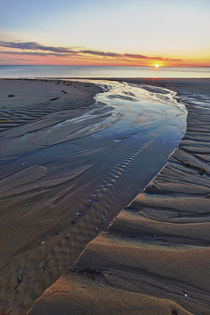 Sand patterns at sunset on Bound Brook Island, Cape Cod Nati... by Danita Delimont