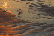 Patterns in the sand at Coast Guard Beach in the Cape Cod Na... von Danita Delimont
