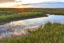 Sunset over the tidal marsh at the Massachusetts Audubon Wel... by Danita Delimont