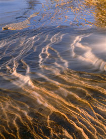 USA, Michigan, Pictured Rocks National Lakeshore, Stream cou... by Danita Delimont
