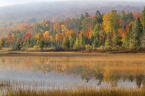 Pond and fall color Alger County Upper Peninsula, Michigan von Danita Delimont