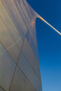 The Gateway Arch in St by Danita Delimont