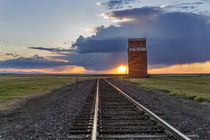 Railroad tracks lead to sunset and old wooden granary in Col... by Danita Delimont