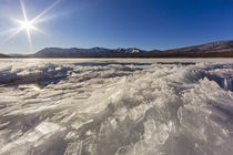 Lake McDonald Ice by Danita Delimont
