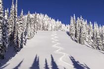 Nice turn tracks off of Lodi on blue sky day at Whitefish, M... by Danita Delimont