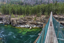 Swing bridge over the Kootenai River near Libby, Montana, USA by Danita Delimont