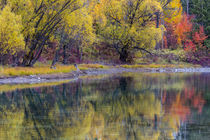 Autumn colors reflect into the Whitefish River in Whitefish,... von Danita Delimont