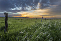 Brilliant sunrise over ranchlands near Ekalaka, Montana, USA by Danita Delimont