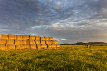 Hay bales and Chalk Buttes receive beautiful morning light n... by Danita Delimont