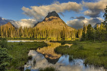 Sinopah Mountain reflects in beaver pond in Two Medicine Val... by Danita Delimont