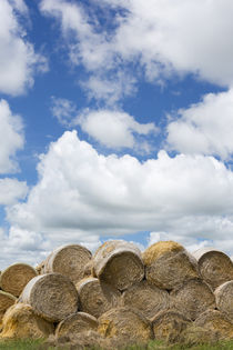 USA, Montana, Garfield County, Big sky country, and hay bales. by Danita Delimont