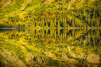 Two Medicine Lake reflection, Glacier National Park, Montana. by Danita Delimont