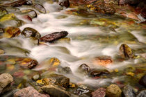 Colorful rocks in a rushing mountain stream by Danita Delimont