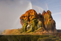 USA, Nevada, Black Rock Desert von Danita Delimont