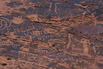 Petroglyphs, Petroglyph Canyon, Valley of Fire State Park, Nevada, USA von Danita Delimont