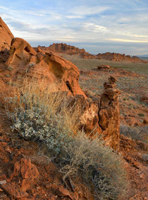 Landscape of Valley of Fire State Park, Nevada, USA by Danita Delimont
