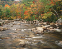 USA, New Hampshire, White Mountains National Forest, Swift r... von Danita Delimont
