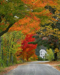 USA, New England, New Hampshire, Andover by Danita Delimont