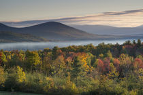 Fall colors in the White Mountains, New Hampshire von Danita Delimont