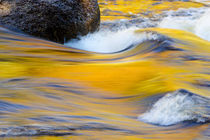 Fall colors reflected in the Swift River in New Hampshire by Danita Delimont