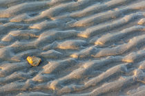 Patterns on the beach at Great Island Common in New Castle, ... von Danita Delimont