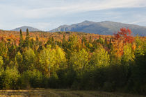 The northern Presidential in New Hampshire's White Mountains... by Danita Delimont