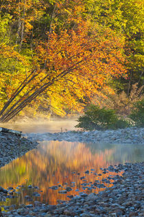 Fall colors reflect in the Saco River in Bartlett, New Hampshire von Danita Delimont