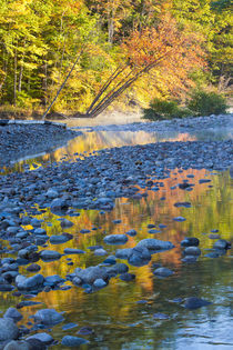 Fall colors reflect in the Saco River in Bartlett, New Hampshire by Danita Delimont
