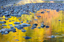 Fall colors reflect in the Saco River in Bartlett, New Hampshire von Danita Delimont