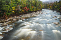 Fall foliage along the East Branch of the Pemigewasset River... von Danita Delimont