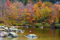 Autumn on Echo Lake, Franconia Notch State Park, New Hampshire, USA. by Danita Delimont