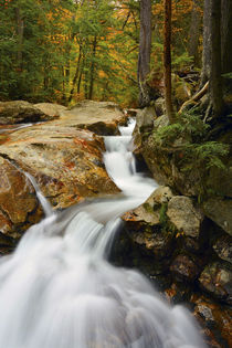 Pemigewasset River in Franconia Notch State Park, New Hampshire, USA. von Danita Delimont