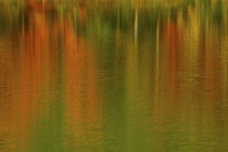 Reflected autumn colors at Echo Lake, Echo Lake State Park, ... von Danita Delimont