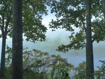 Dense fog on the Connecticut River near West Chesterfield, N... von Danita Delimont
