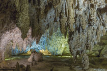 USA, New Mexico, Carlsbad Caverns von Danita Delimont