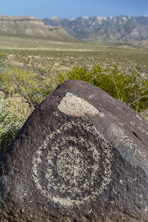 USA, New Mexico, Three Rivers Petroglyph Site by Danita Delimont