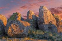USA, New Mexico, City of Rocks State Park by Danita Delimont