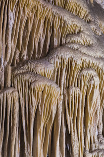 USA, New Mexico, Carlsbad Caverns by Danita Delimont
