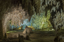 USA, New Mexico, Carlsbad Caverns von Danita Delimont