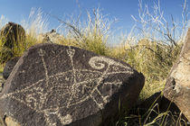 USA, New Mexico, Three Rivers Petroglyph Site von Danita Delimont