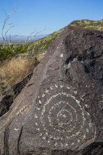 USA, New Mexico, Three Rivers Petroglyph Site by Danita Delimont