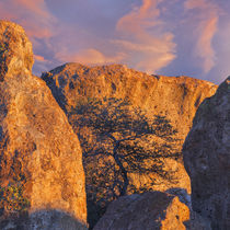USA, New Mexico, City of Rocks State Park by Danita Delimont