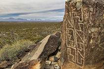 USA, New Mexico, Three Rivers Petroglyphs National Historic Site by Danita Delimont
