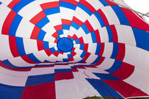 Albuquerque Balloon Fiesta by Danita Delimont