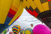 Albuquerque Balloon Fiesta von Danita Delimont