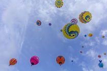 Albuquerque Balloon Fiesta von Danita Delimont