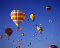 Hot Air Balloons aloft at the Albuquerque Balloon Festival, ... von Danita Delimont