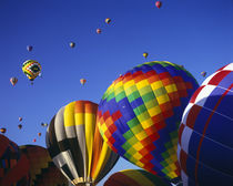 Hot Air Balloons aloft at the Albuquerque Balloon Festival, ... von Danita Delimont