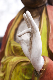 Buddha Statue, Santa Fe, New Mexico, USA. by Danita Delimont