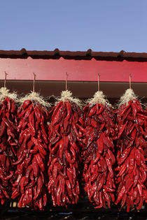 Chili peppers drying in the sun, Velarde, New Mexico, USA. by Danita Delimont